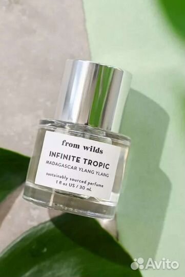 From wilds Infinite Tropic Madagascar Ylang Ylang