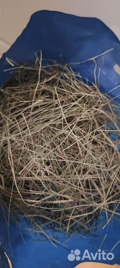 Отборное сено