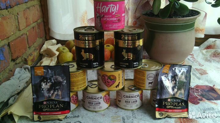 Корм для собак Carnica