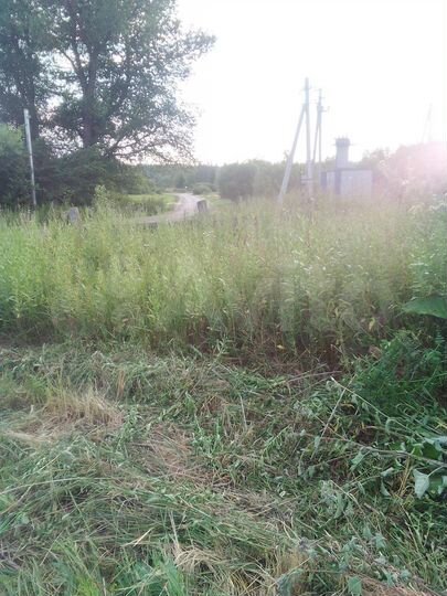 Участок 15,5 сот. (ИЖС)