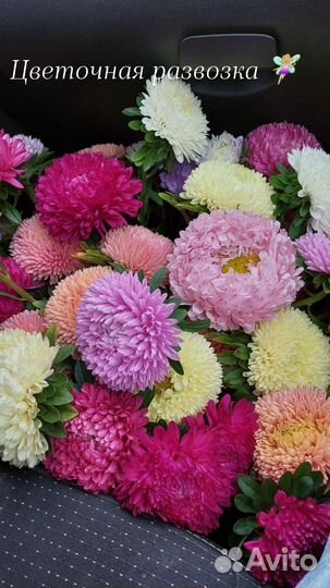 Букет на 1 сентября срезка