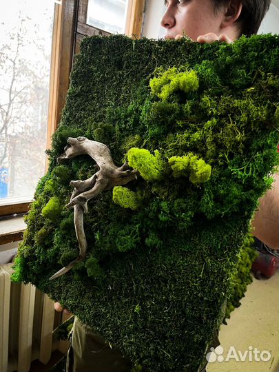 Стабилизированный мох/ картина из мха/ фитопанно