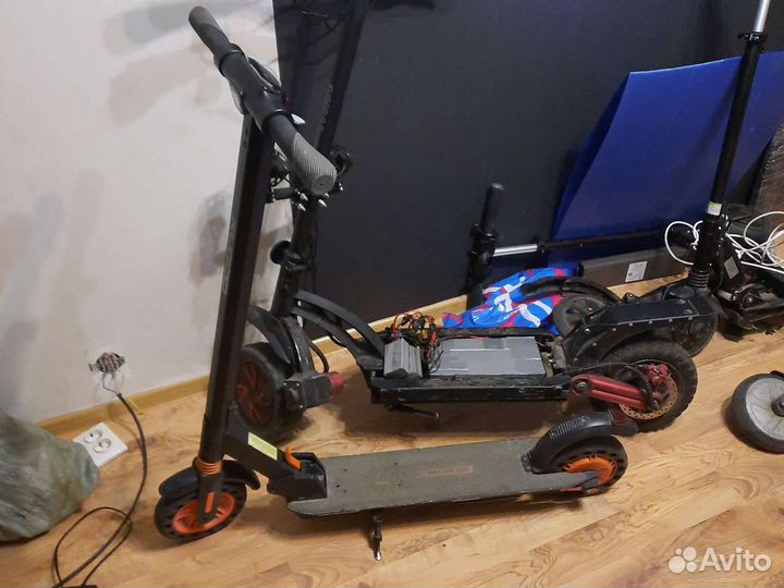 Самокат взрослый куго кирин s8