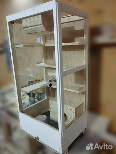 Витрина для шиншилл