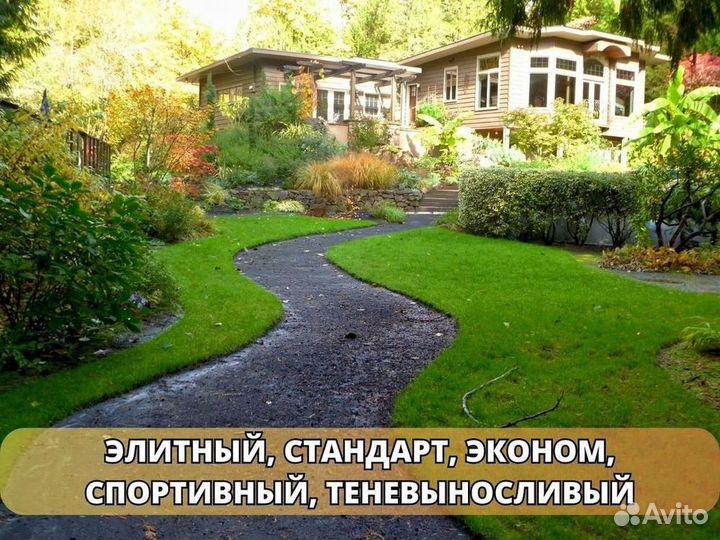 Рулонный газон /продажа/укладка