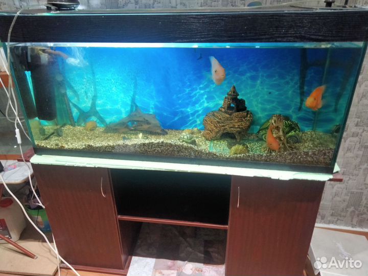 Аквариум
