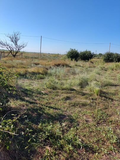 Участок 24 сот. (ИЖС)