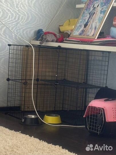 Клетка для животных большая