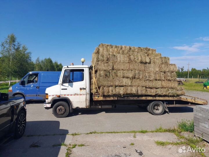 Перевозка животных. Эвакуатор. Грузоперевозки