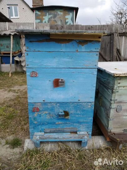 Ульи для пчёл многокорпусные на рутовские и дадано
