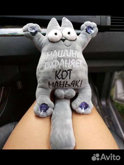 Кот в автомобиль