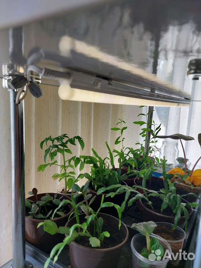 Стеллаж для рассады