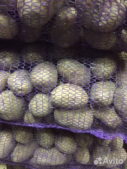 Продукты питания