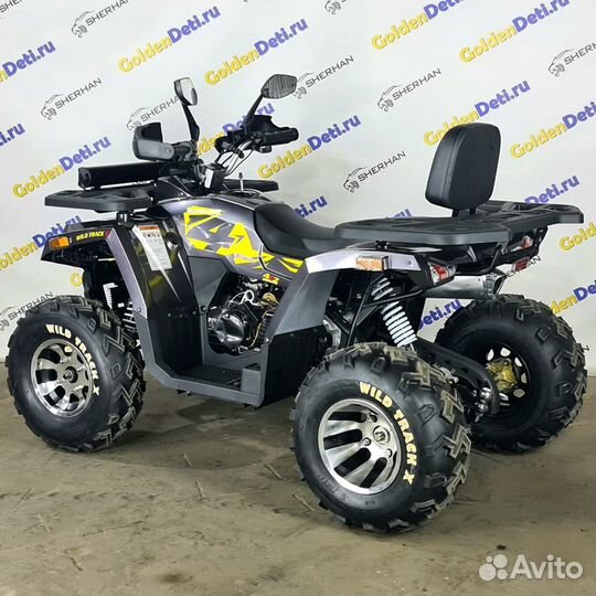 Квадроцикл MotoLand 200 wild track X PRO 2023 года