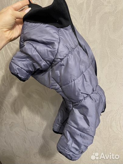 Комбинезон для собаки