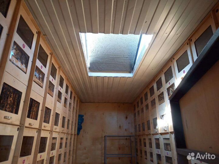 Пасека.Пчелоконтейнер.Пчелопавильон