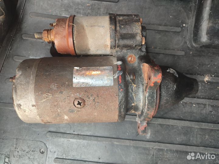 Маз зубрёнок