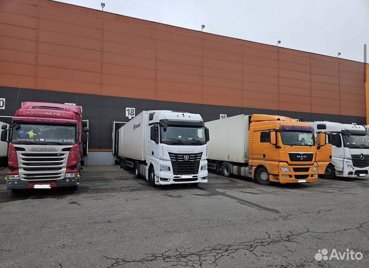 Услуги Рефа