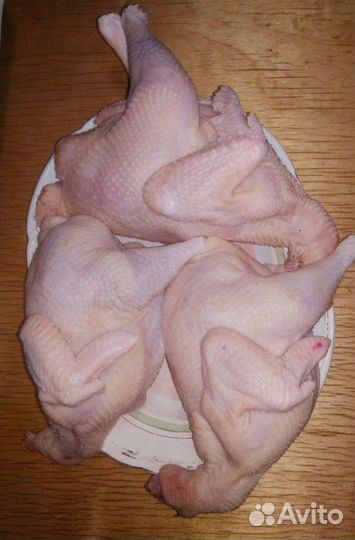 Куры домашние.Мясо