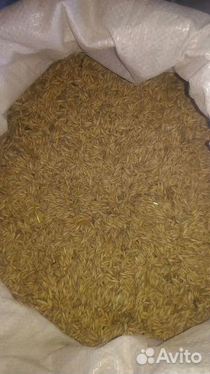 Кормосмесь дробленка пшеничная