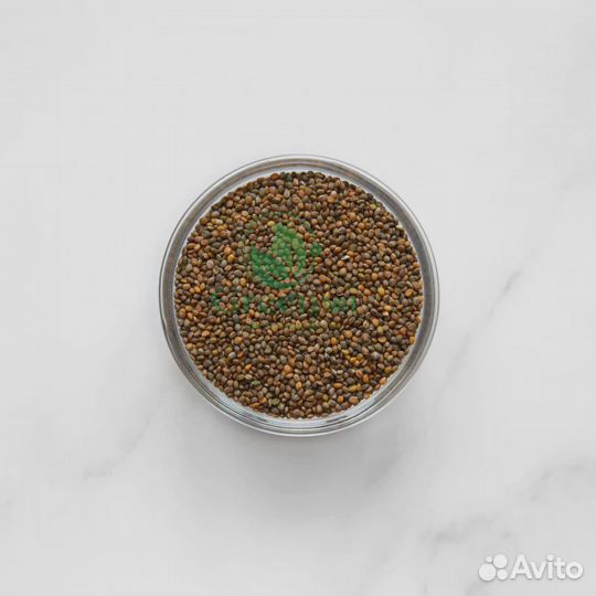 Качественная микрозелень