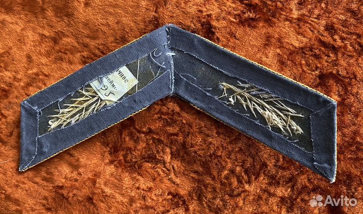 Петлицы для парадной шинели генерала ввс