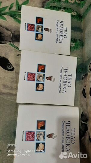 Тело человека