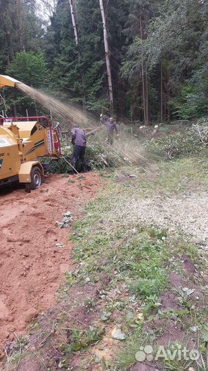 Спил и удаление деревьев расчистка участка