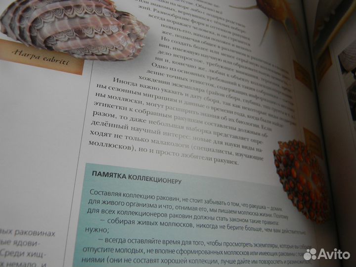 Книга Жители моря