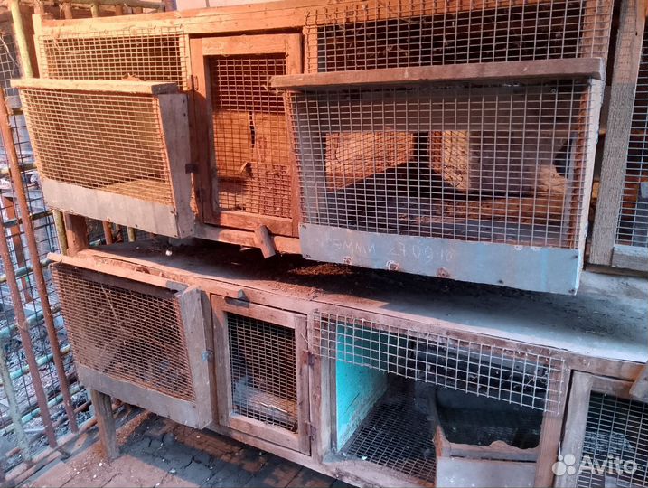 Клетки для кроликов