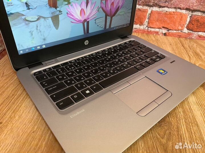 12 дюймов SSD проц A8 HP EliteBook 725 Ноутбук