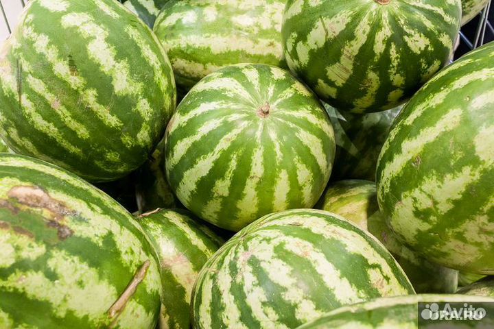 Арбуз