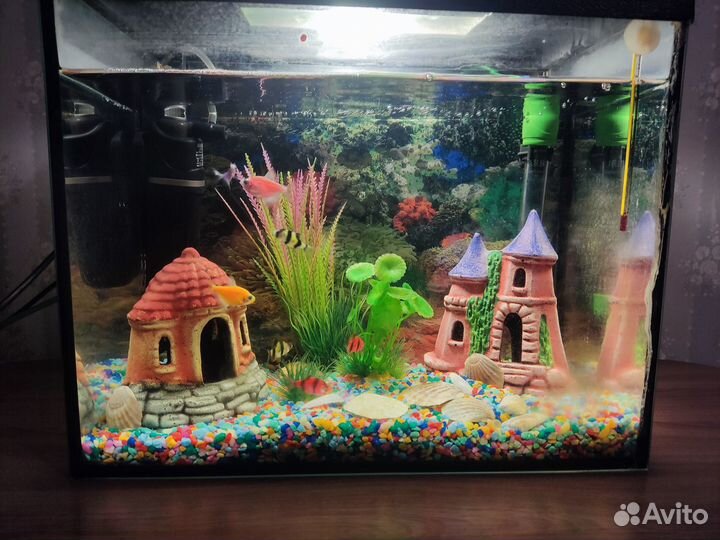 Аквариум 30 литров