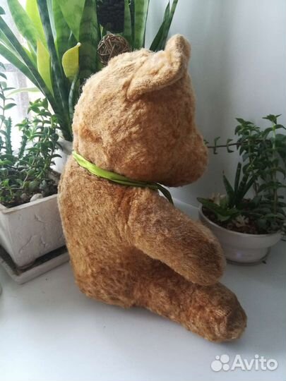 Мишка плюшевый СССР и котенок