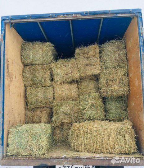 Сено в тюках