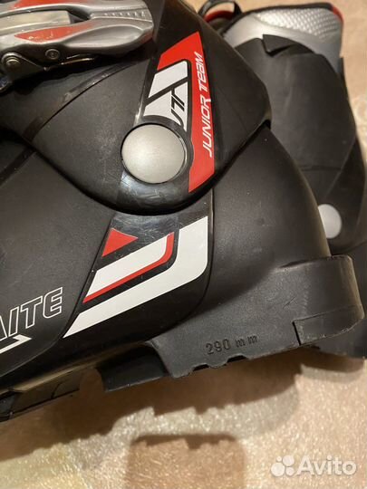 Горнолыжные ботинки