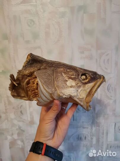 Чучело рыбы