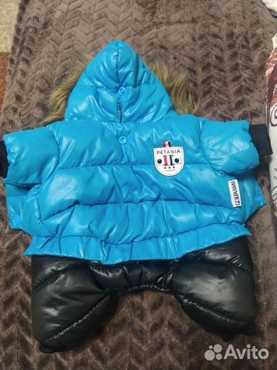 Комбинезон на маленькую собаку