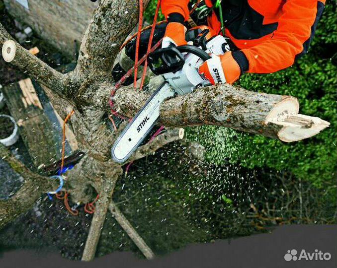 Спил деревьев/Расчистка/Дробление веток/Вывоз мусо