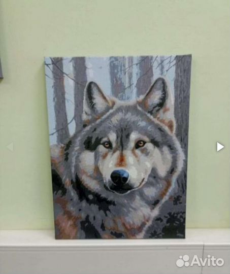 Картина по номерам готовая 30/40