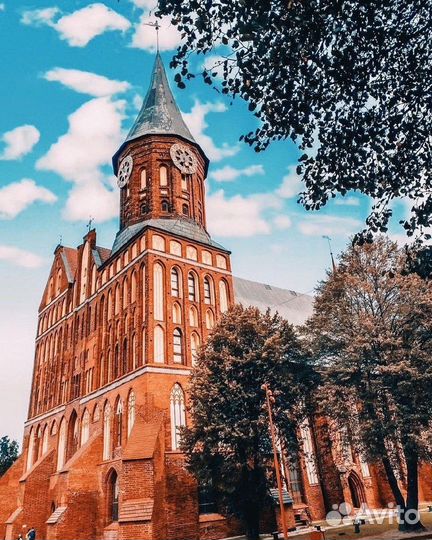 Туры в Калининград от 3 дней