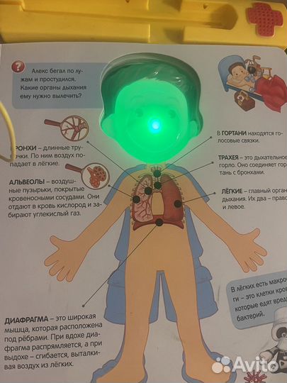 Книга маленький доктор