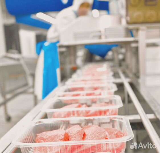 Грузчики /проживание+питание Еженедельные выплаты