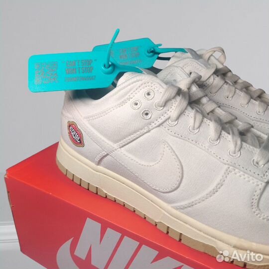 Nike Dunk Low The Future Is Equal