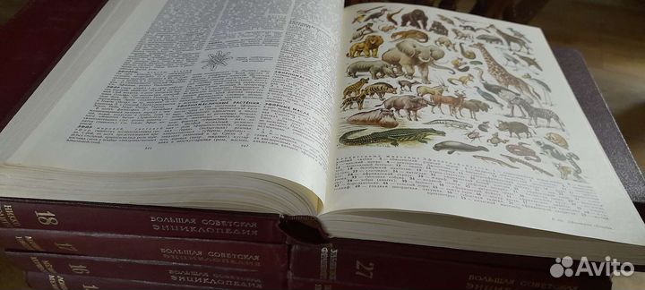 Большая Советская Энциклопедия с 10 по 30