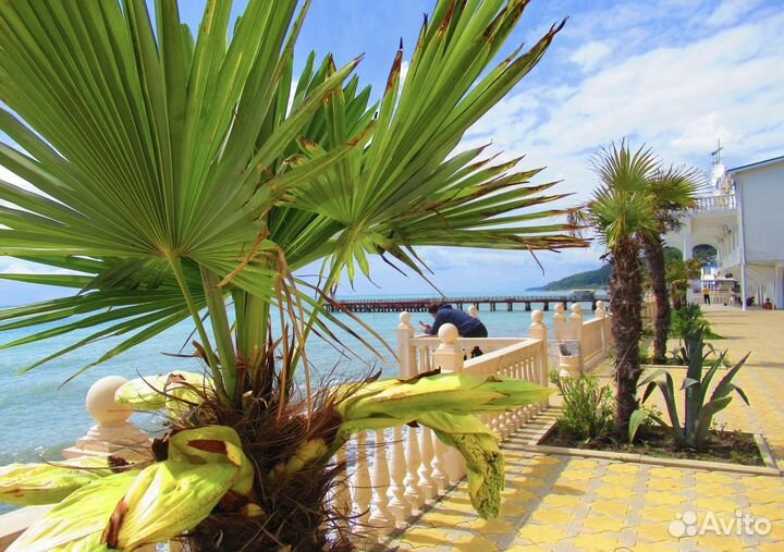 Семейный отпуск в Лоо