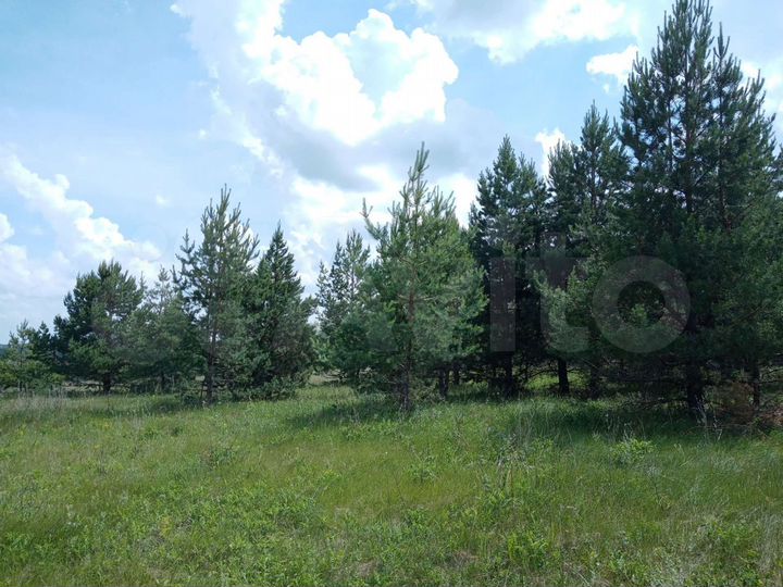 Участок 25,5 сот. (ИЖС)