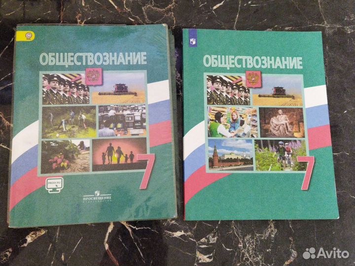 Общество 7 класс