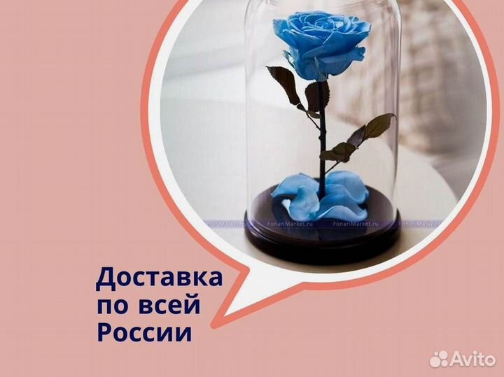 Роза в колбе. Стоит до 8 лет