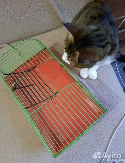 Переноска для морской свинки